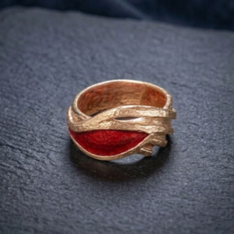 anello albatros bronzo