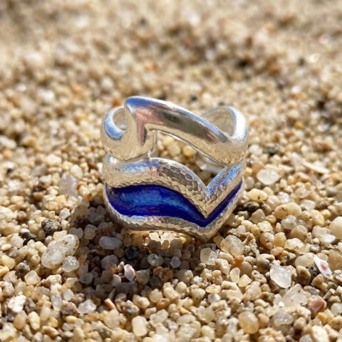 anello delfino