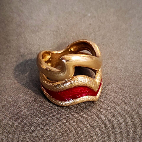 anello delfino