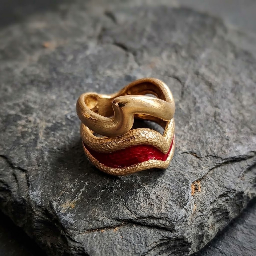 anello delfino